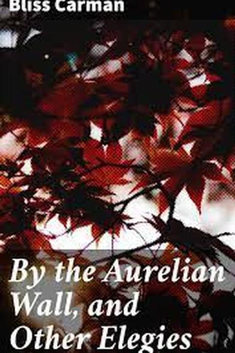 An Afterword