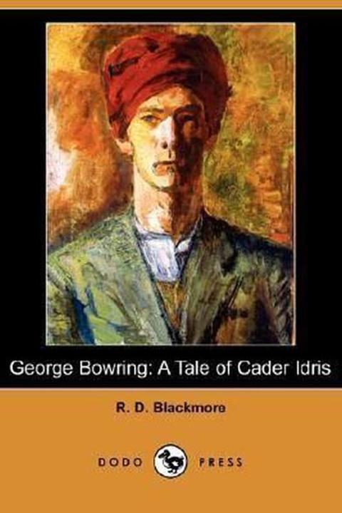 George Bowring, A Tale Of Cader Idris