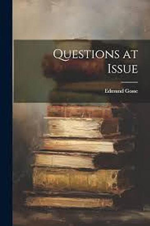 Questions at Issue