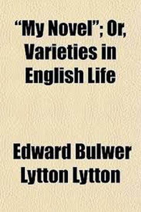 My Novel, Book VI