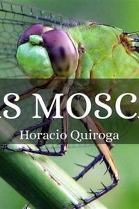 Las Moscas