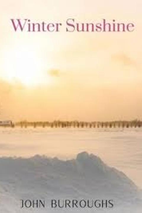 Winter Sunshine