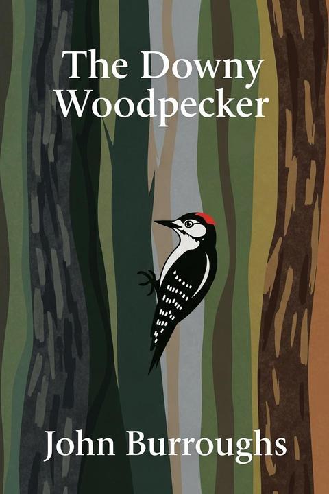 The Downy Woodpecker