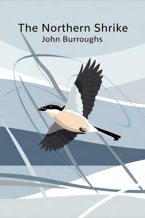 The Northern Shrike