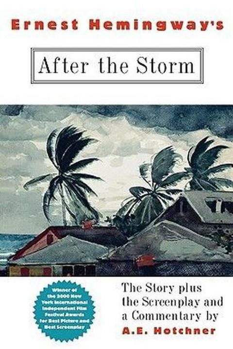 After the Storm