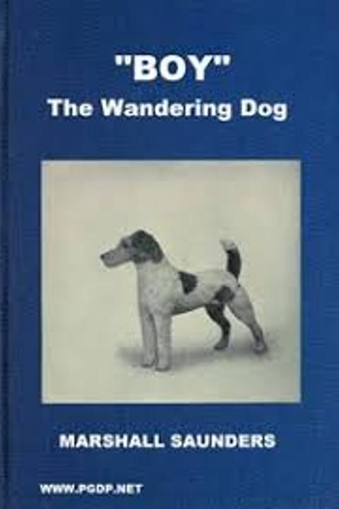 Boy the Wandering Dog