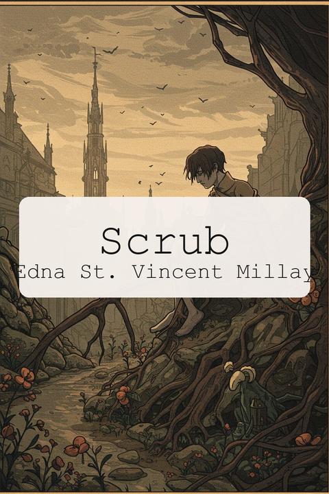 Scrub