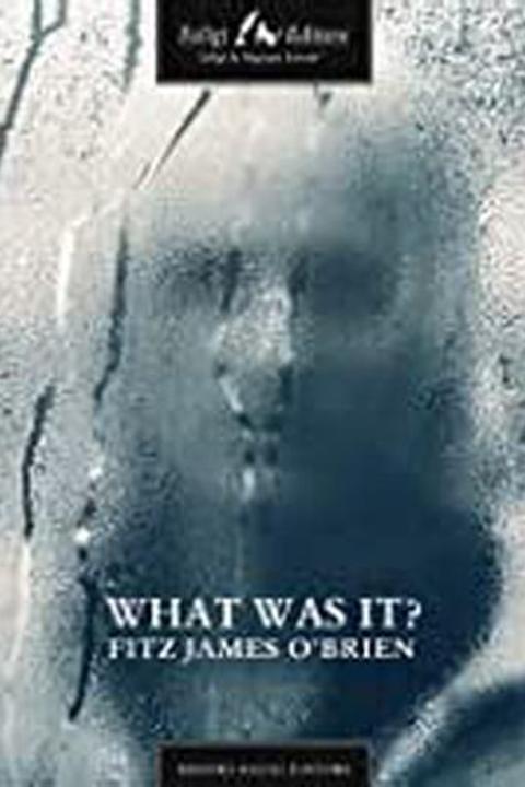 What Was It? A Mystery
