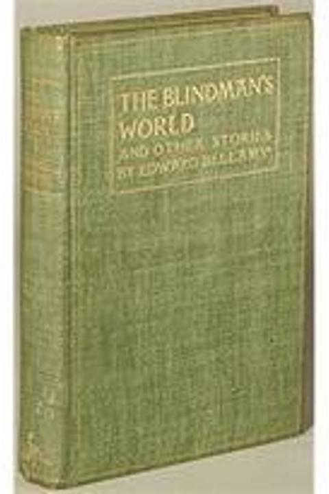 The Blindman's World
