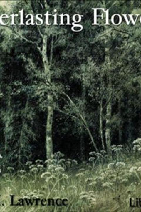 Everlasting Flowers