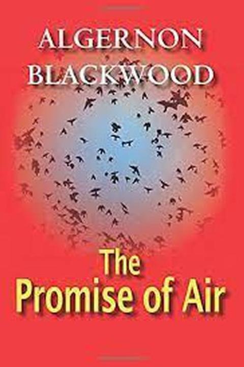 The Promise of Air